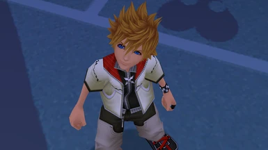 Playable HD Roxas (including voices)