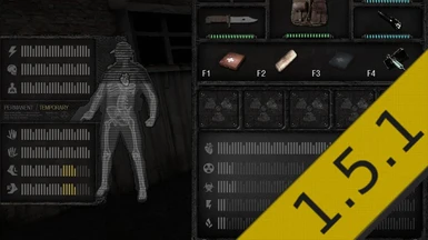 Anomaly Styled EFT Interface for BHS