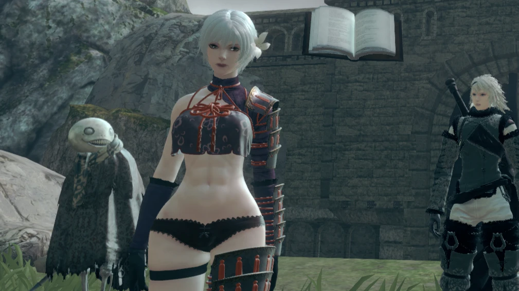 Mod image