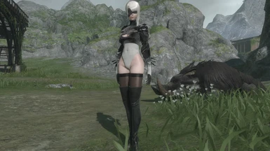 No Skirt for 2B Kaine Outfit