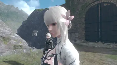 The Flower coloration for Kaine's Lunar Tear (Drakengard 3)