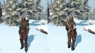 Aveline Winter Outfit Hood