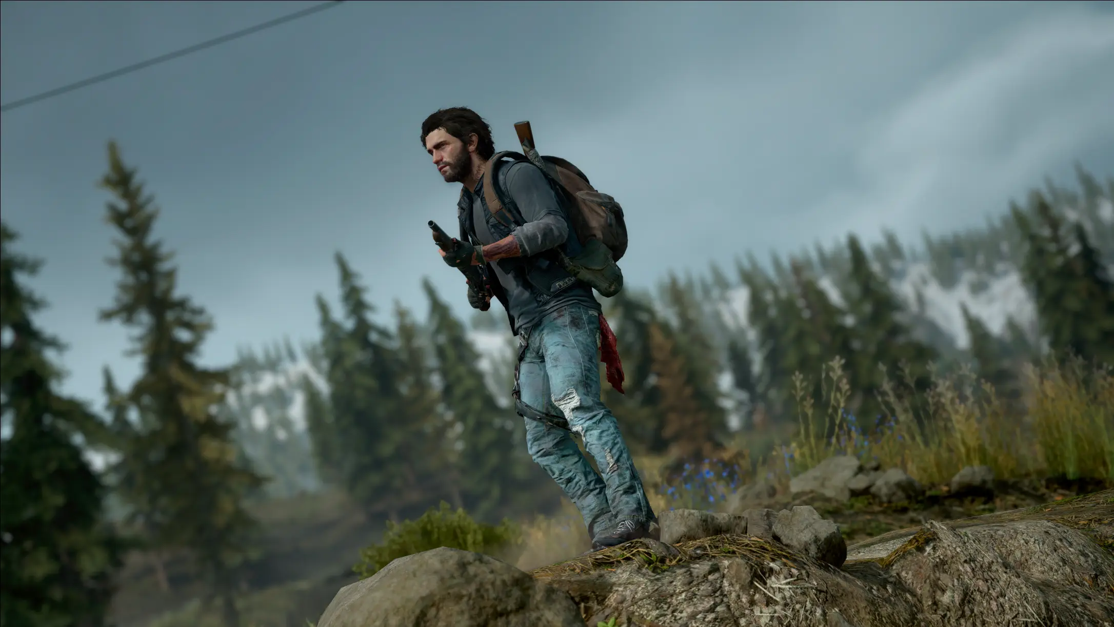 Days gone туризм