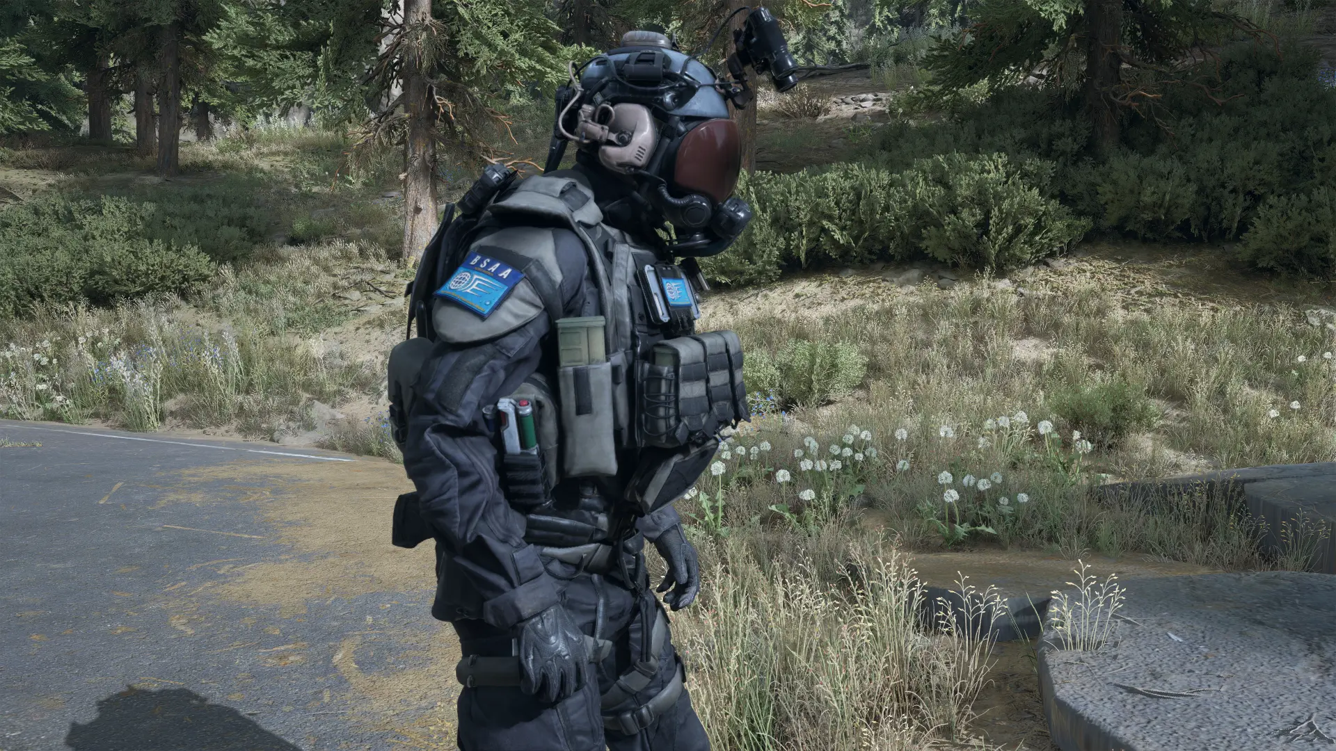 RE Village BSAA Soldier at Days Gone Nexus - Mods and community