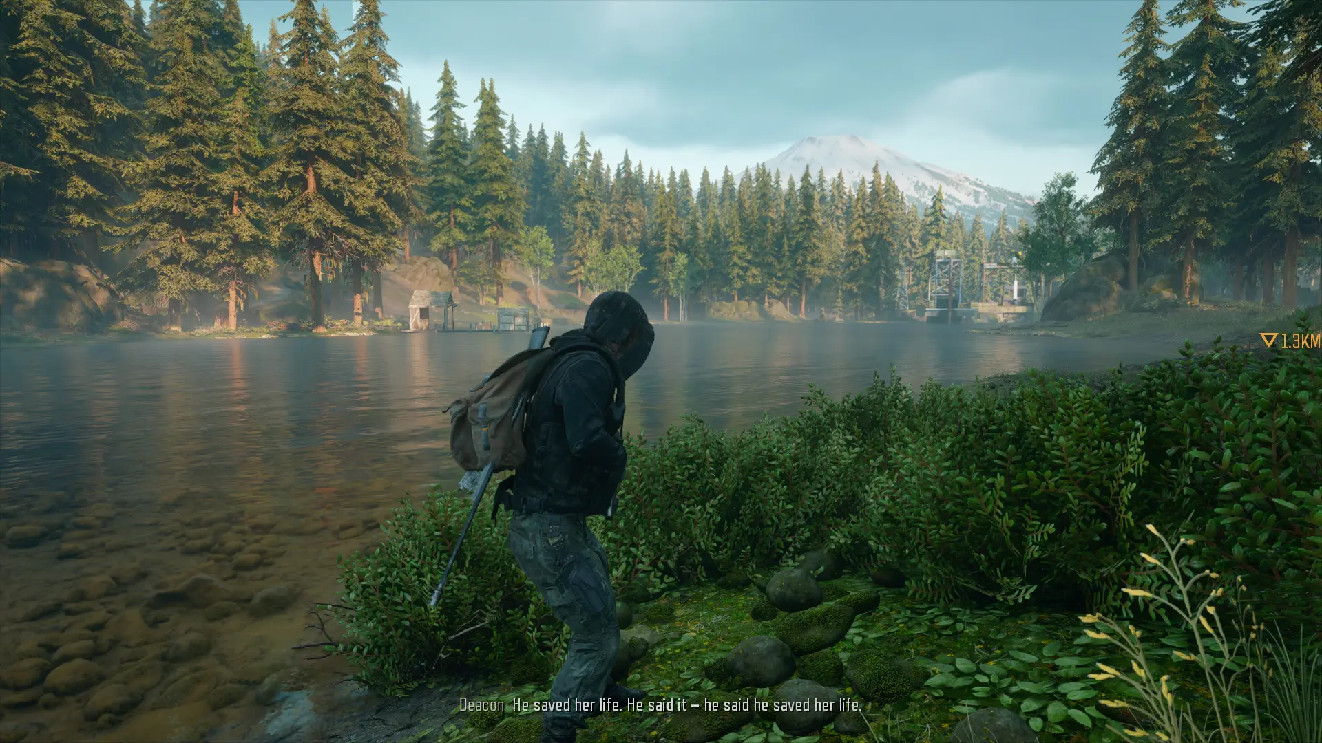 Days Gone Realism ReShade at Days Gone Nexus - Mods and community