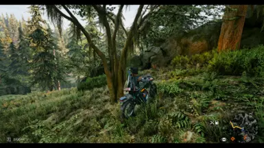 Modded Days Gone is a Beast, Days Gone