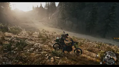 Brightmod with RTGI at Days Gone Nexus - Mods and community