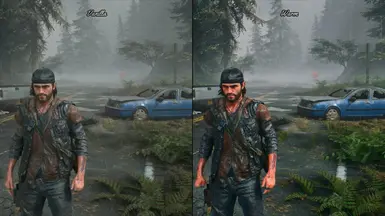 DAYS GONE AMAZING GRAPHIC MOD, RESHADE PC GAMEPLAY