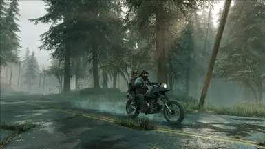 Left To Die - Reshade at Days Gone Nexus - Mods and community