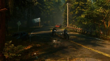 Days Gone Reshaded with NaR (stickied settings)