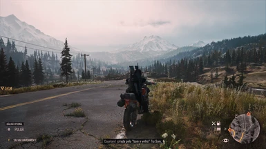 DAYS GONE ULTIMATE RESHADE