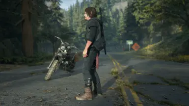 True Drifter Addons plus Updated Outfit at Days Gone Nexus - Mods