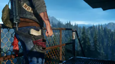 how to get days gone mods on ps4｜TikTok Search