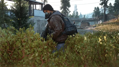The Division Agent at Days Gone Nexus - Mods and community