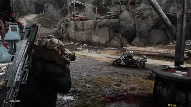 Days Gone - True World ReShade Preset