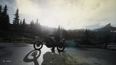 Days Gone - joedynamite - Nexus