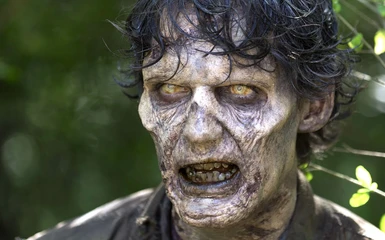 Walking Dead Zombie Skins