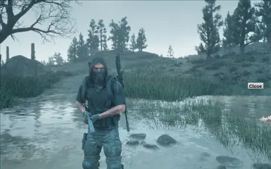 Hood no vest