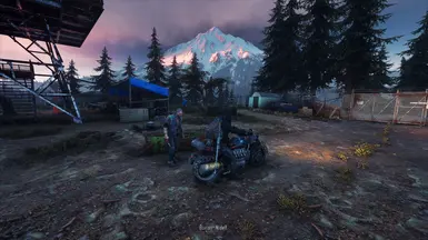 Days Gone Realism ReShade at Days Gone Nexus - Mods and community