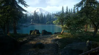 reshade
