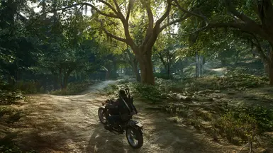 reshade