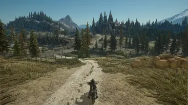 vanilla
