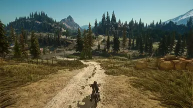 reshade