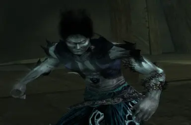 The Unofficial Patch at Prince of Persia: Warrior Within Nexus