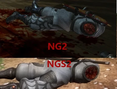 NGS2 correct wound using NG2 texture