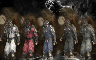 Shadow Walker NG3RE
