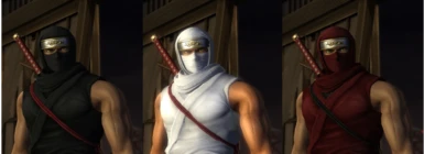 NGS2 - Classic Ninja
