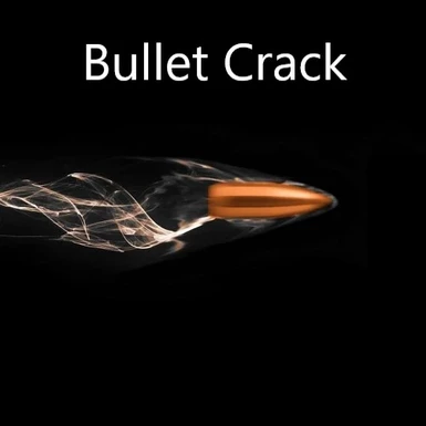 Bullet flyby Crack