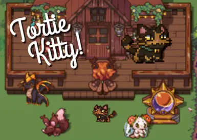 Tortie Kitty