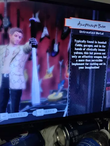 An actual baseball bat