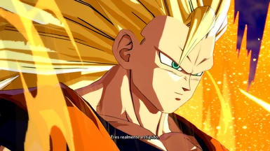 Super Saiyan 5 Goku Black, Gogeta and Goku - Dragon Ball FighterZ Mods 