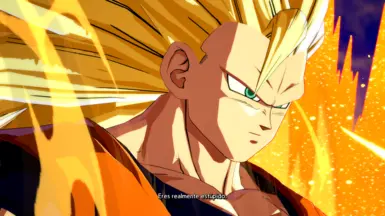 team 17/A.Gohan/SSJ Blue Goku gifs : r/dragonballfighterz