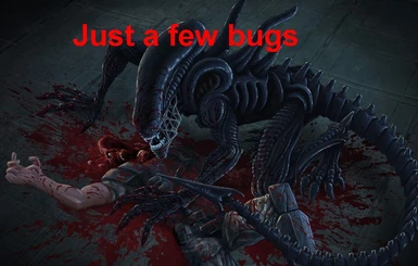 Just a few bugs