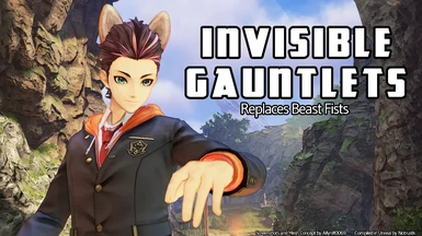 Invisible Gauntlets