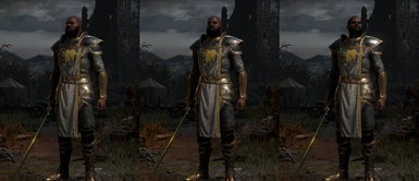 Paladin Veteran and Bearded Barbarian. Now with armor skins