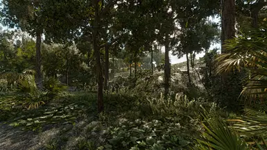 Reshade On