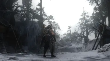 Reshade On - Frost Islands
