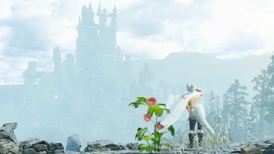 Long lost kitsune citadel..?~