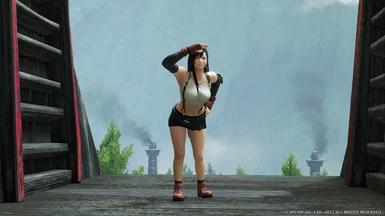 Tifa Lockhart from Dissidia Final Fantasy NT