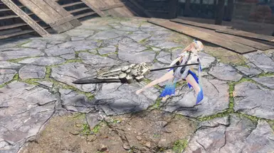WutheringWaves Zanni Weapon(DS CA)