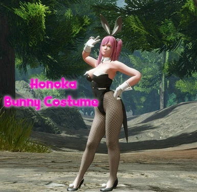 Honoka - Bunny Costume (DOA6)