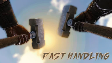 Fast Weapon Handling(U12)