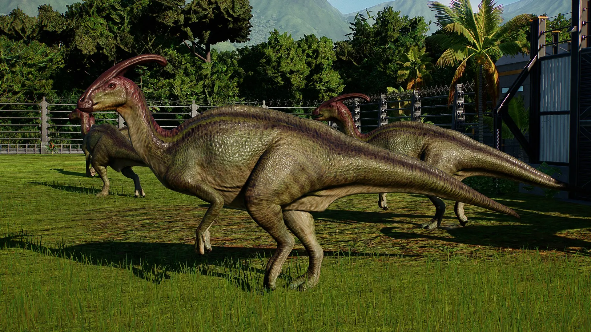 accurate parasaurolophus