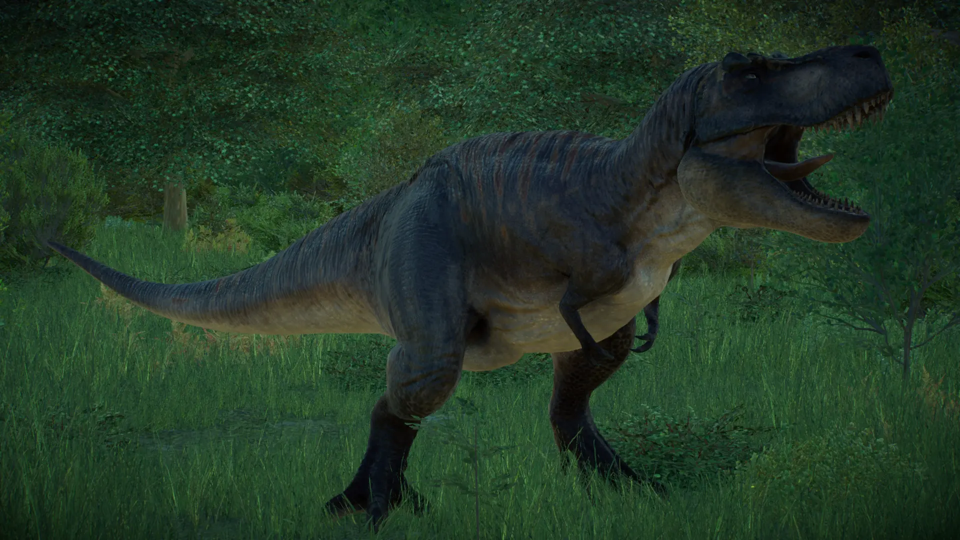 Pickle's Paleoverhaul - T. rex and the Other Tyrannosauroids at ...