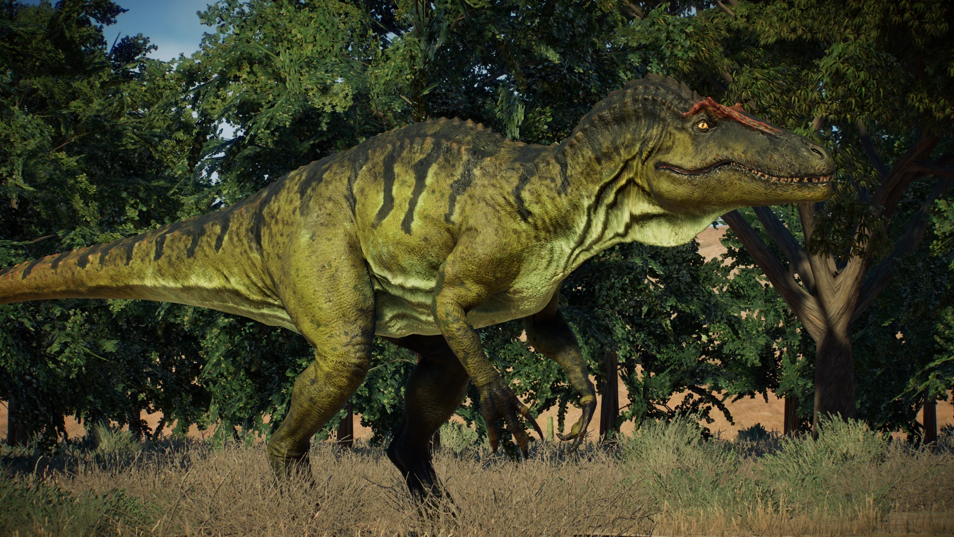 Chilantaisaurus New Species 1 9 Cretaceous Predators Update At