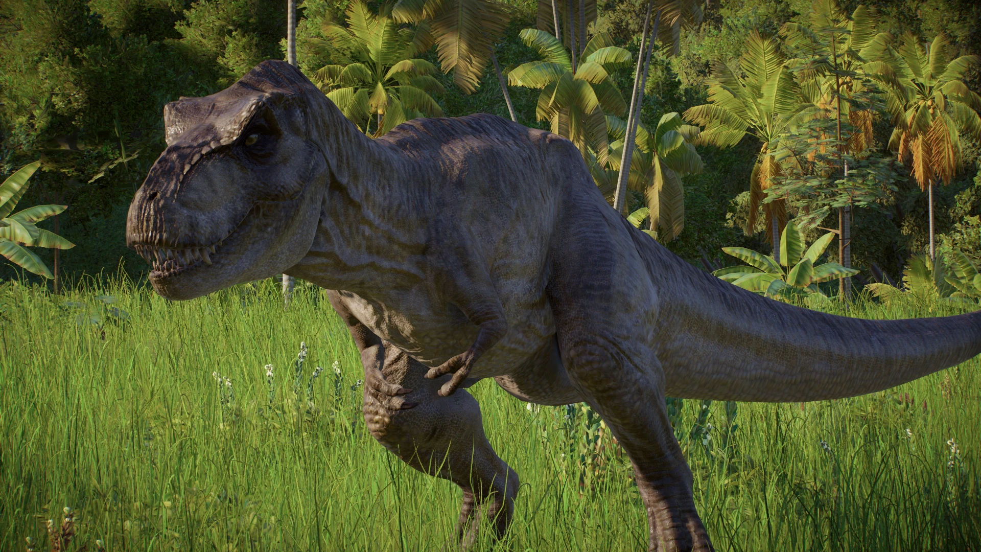 PACK TYRANNOSAURUS SCARRED AND FEATHERED ACCURATE (ALTERNATIVE SKINS) T ...